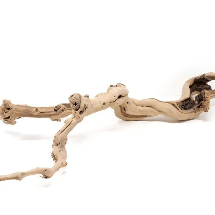 Sandblasted Grapewood Branch for Displays
