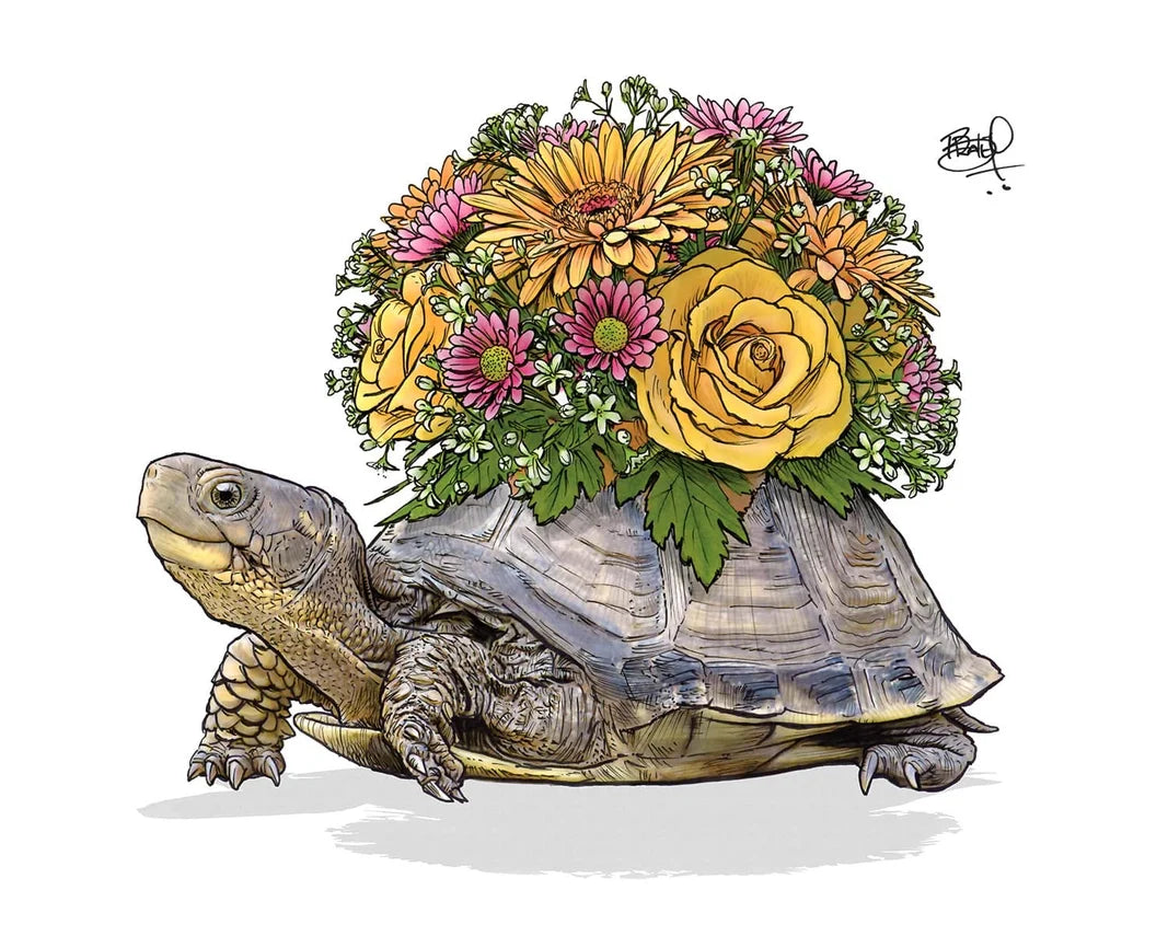 Greeting Cards