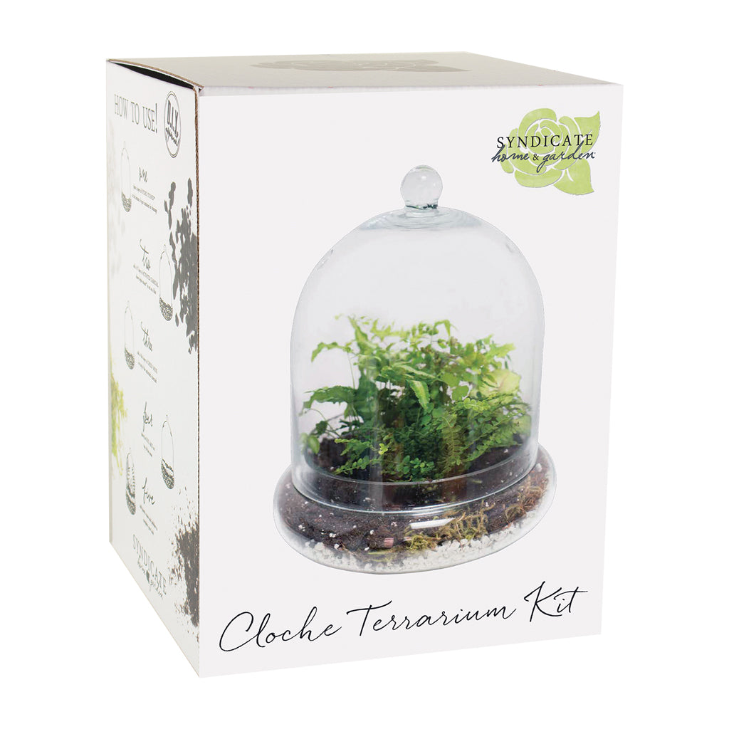Cloche Terrarium Kit