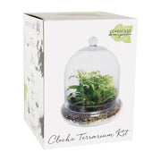 Cloche Terrarium Kit