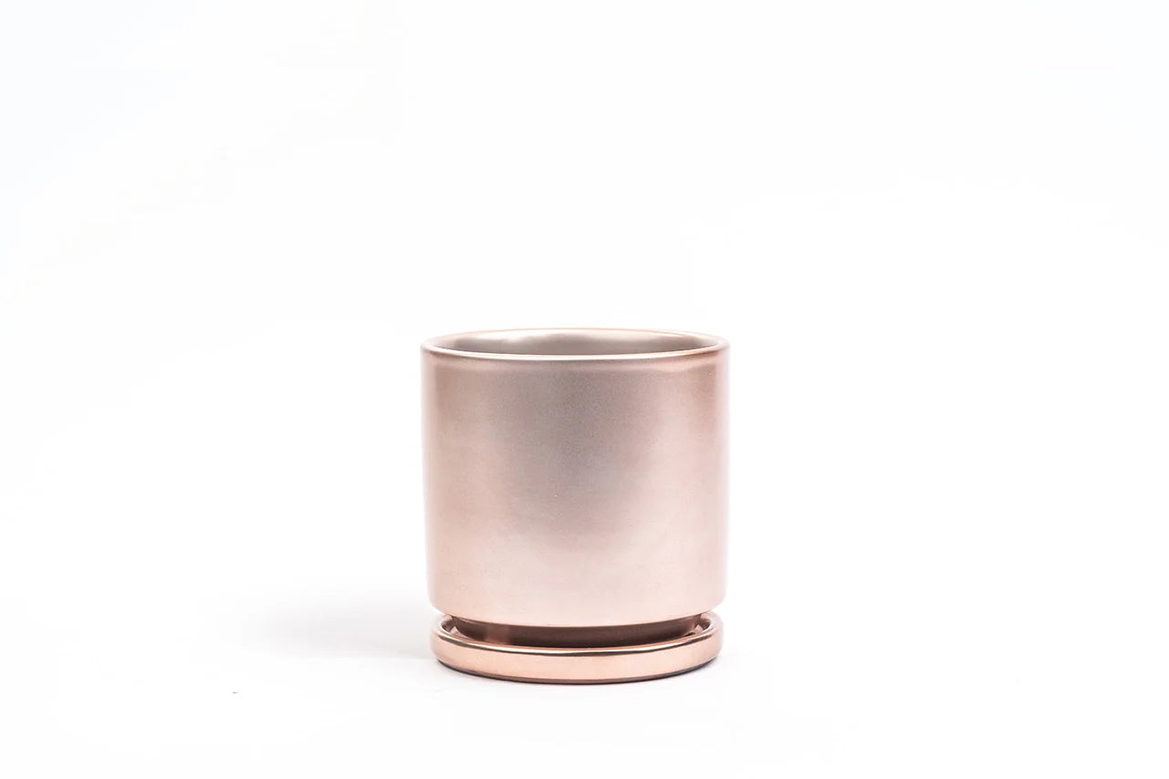 4.5" Gemstone Pot - with Water Saucer