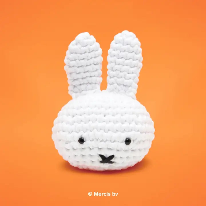 Beginner Crochet Kit