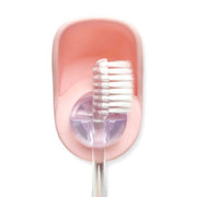 Toothbrush Holder - Blush by Homeportonline