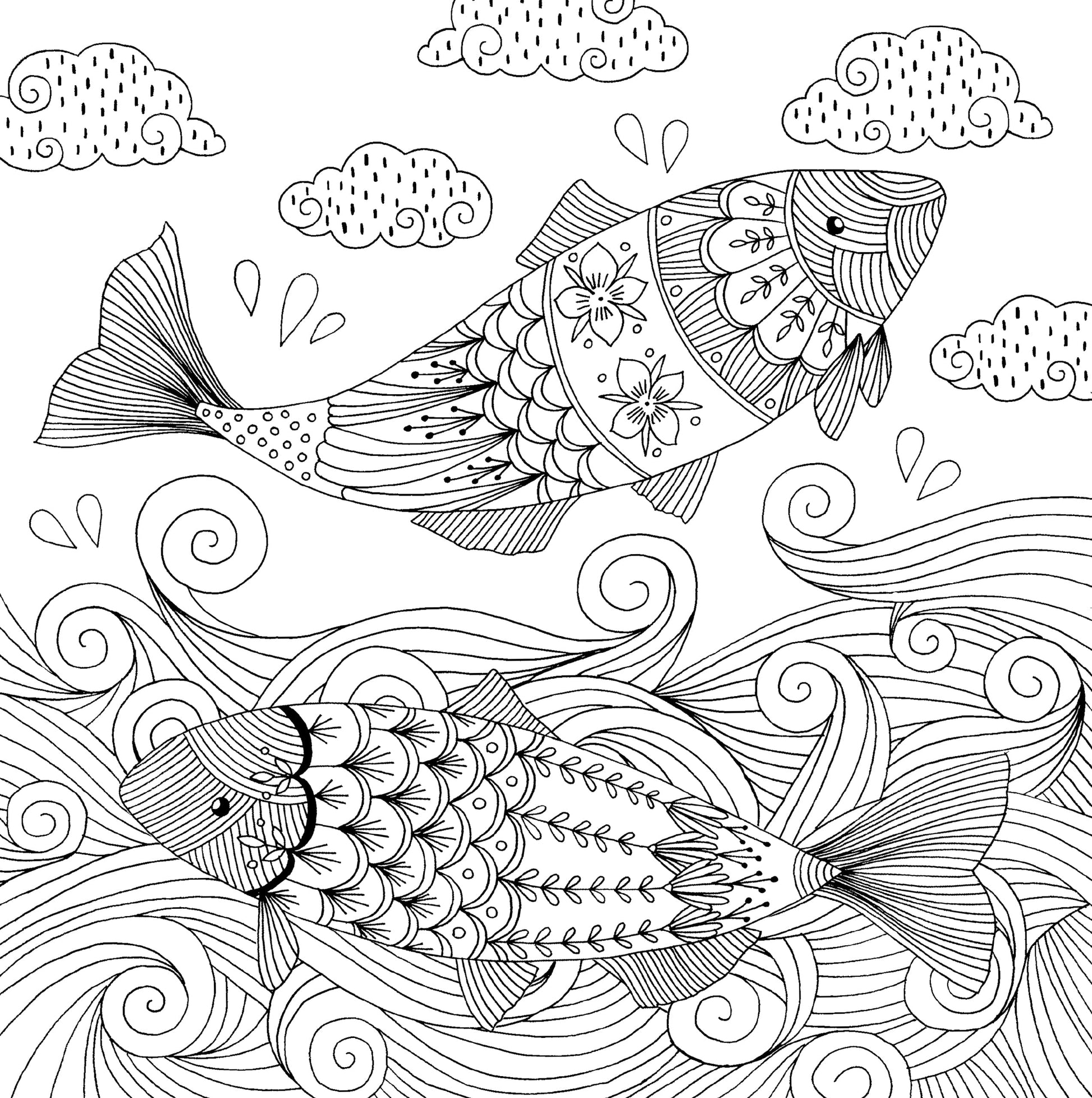 Artist's Adult Coloring Book Follow Your Dreams by Homeportonline