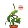 3 Pack Bendable Moss Pole™ THIN by Wild Lark