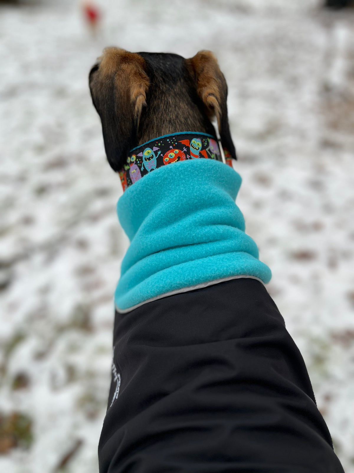 Chilly Dogs Standard Great White North Coat (Black Shell)