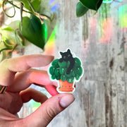 Sticker - Pilea with black cat lady