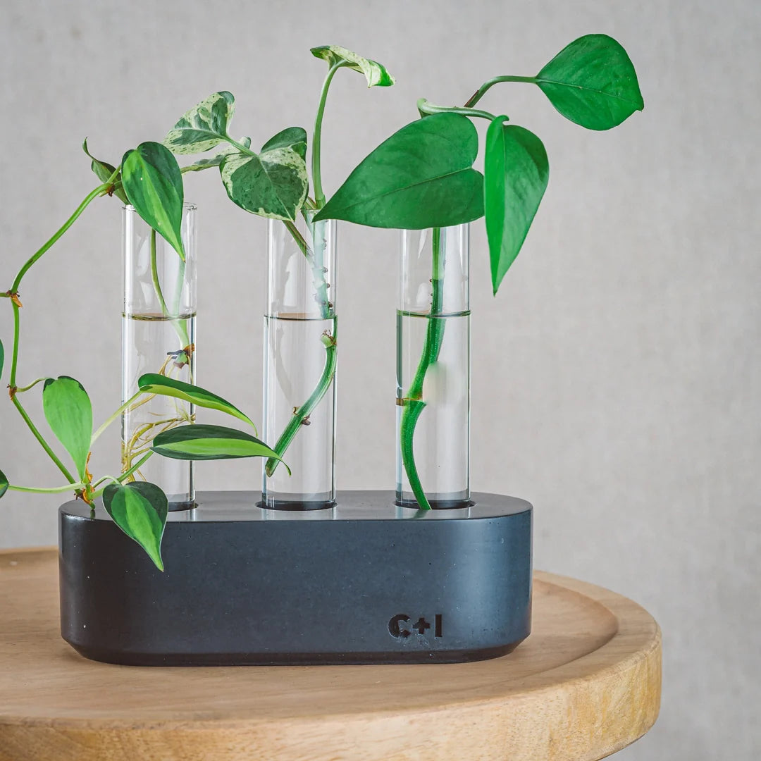 SALE! Propagation Station