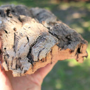 Virgin Cork Bark Slab