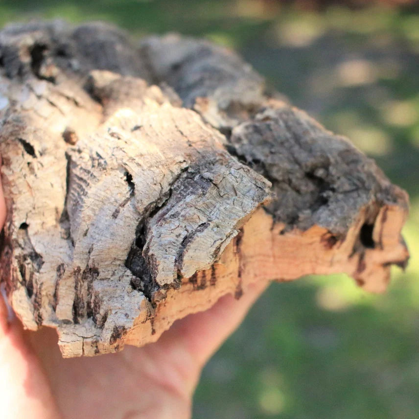 Virgin Cork Bark Slab