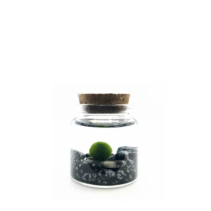 Moss Ball - Small