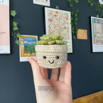 Crochet Plant