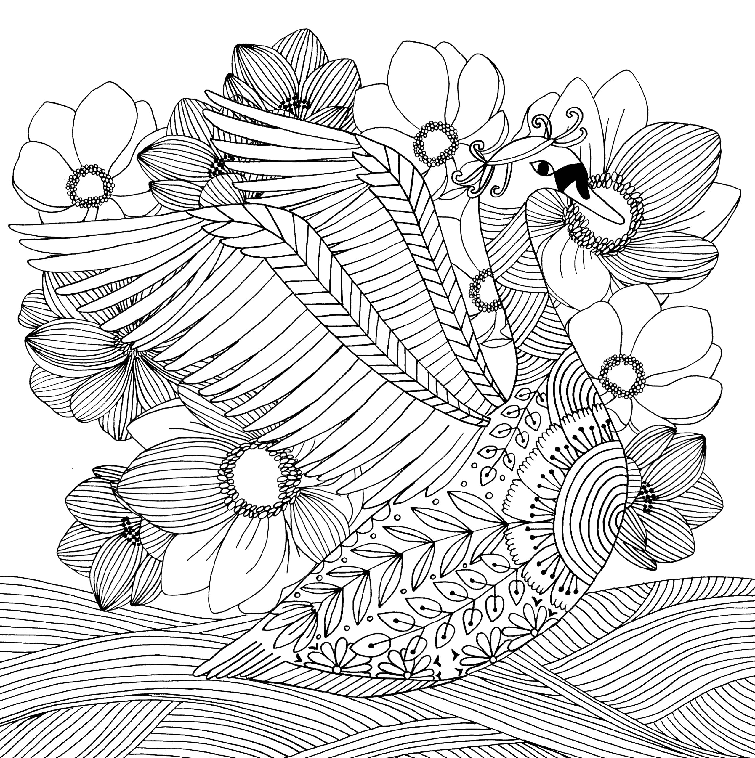 Artist's Adult Coloring Book Follow Your Dreams by Homeportonline