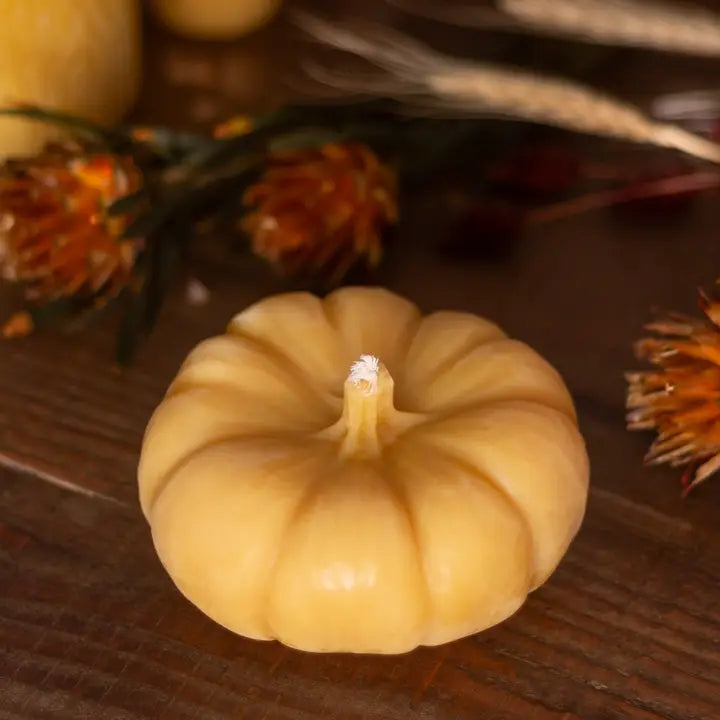 Sale!-Pumpkin Beeswax Candle