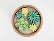 Sale!-Succulent Candle - Soy Wax - Concrete Vessel