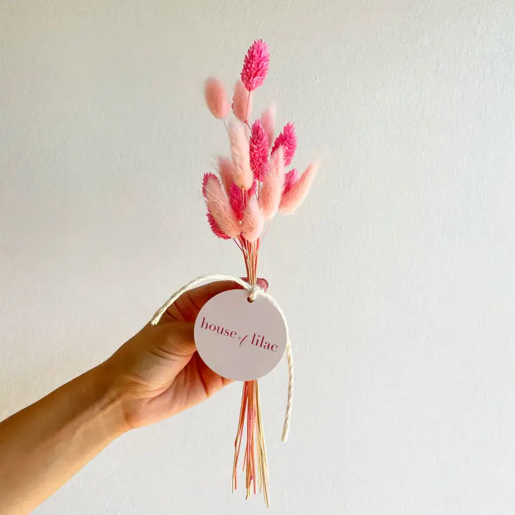 Dried Flower Bunny Tail Bundle