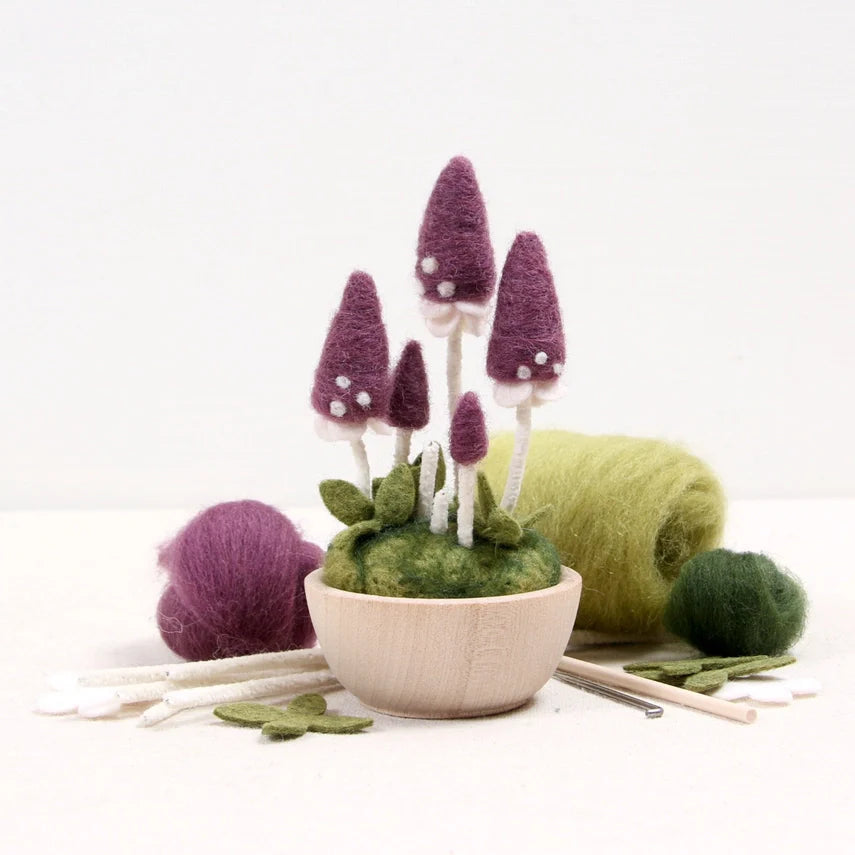 Needle Felting Kit