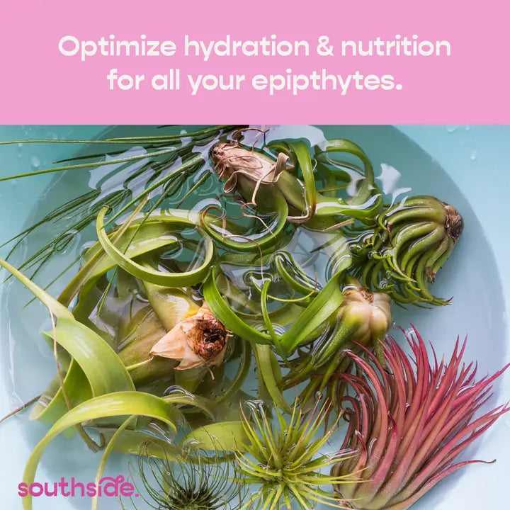 Air Plant Fertilizer - Spray and Soak
