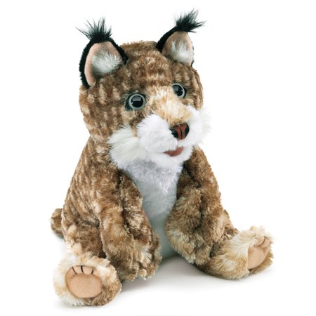 Bobcat Kitten (Other)