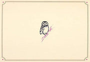 Owl Note Cards (Stationery, Boxed Cards)