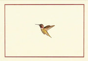 Note Cards Hummingbird Flight