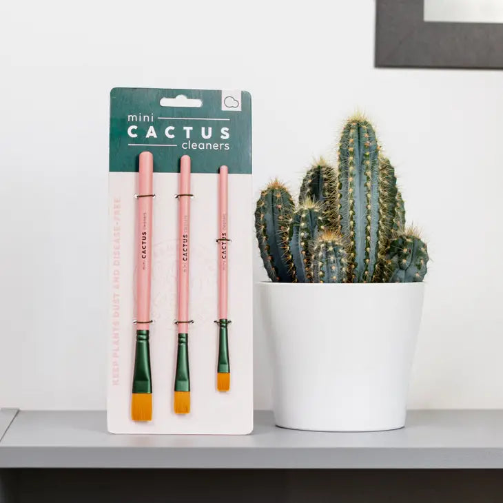 Mini Cactus Cleaner Brushes