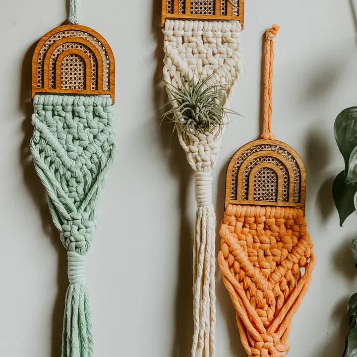 Air Plant Hanger