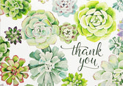Succulent Garden Thank You Notes (Stationery, Note Cards, Boxed Cards)