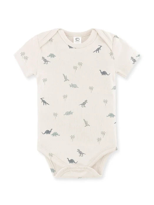 Organic Baby Afton Bodysuit