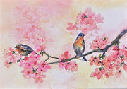 Note Cards Cherry Blossoms in Spring