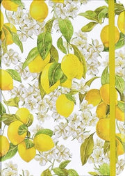 Journal Small Amalfi Lemons