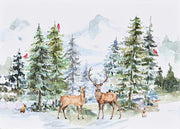 Winter Wonderland Deluxe Boxed Holiday Cards (20 cards, 21 self-sealing envelopes)