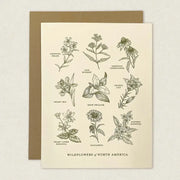 Wildflowers of North America Greeting Card by Wild Lark
