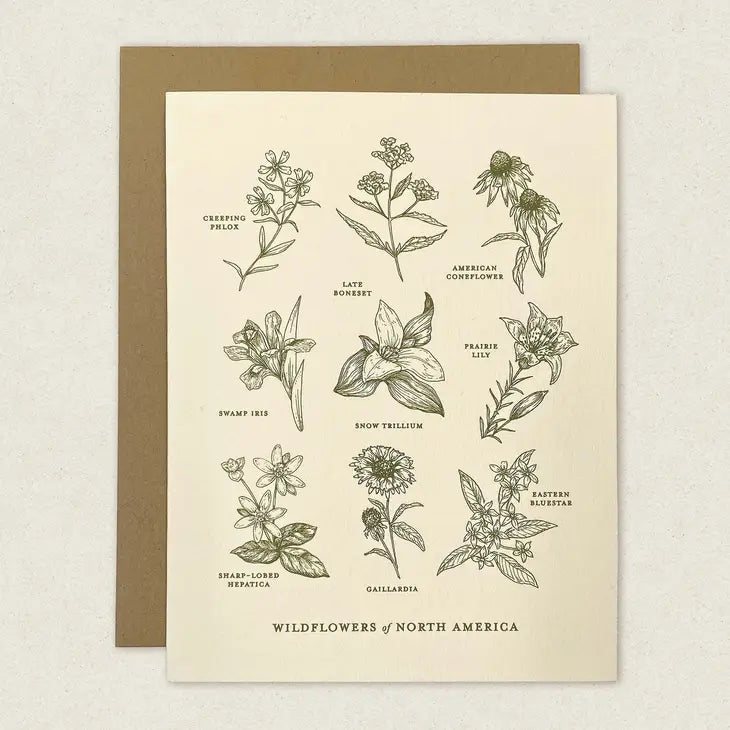 Wildflowers of North America Greeting Card by Wild Lark