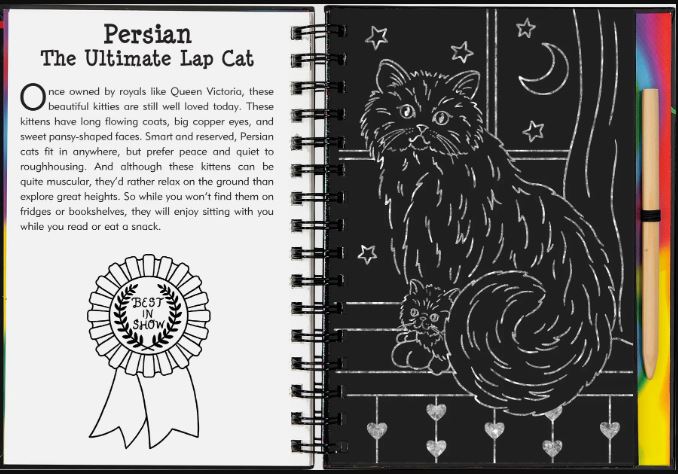 Scratch And Sketch Trace Along Activity Book Kittens by Homeportonline
