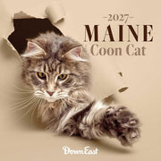 2027 Maine Coon Cats Wall Calendar