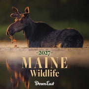 2027 Maine Wildlife Wall Calendar