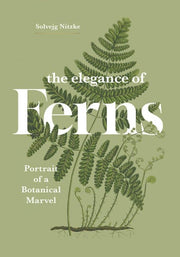 The Elegance of Ferns Portrait of a Botanical Marvel
