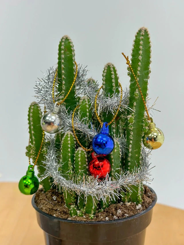 House Plant Christmas Tree Decoration Kit