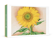 Georgia O'Keeffe: A Sunflower from Maggie Small Boxed Cards (Miscellaneous Print)