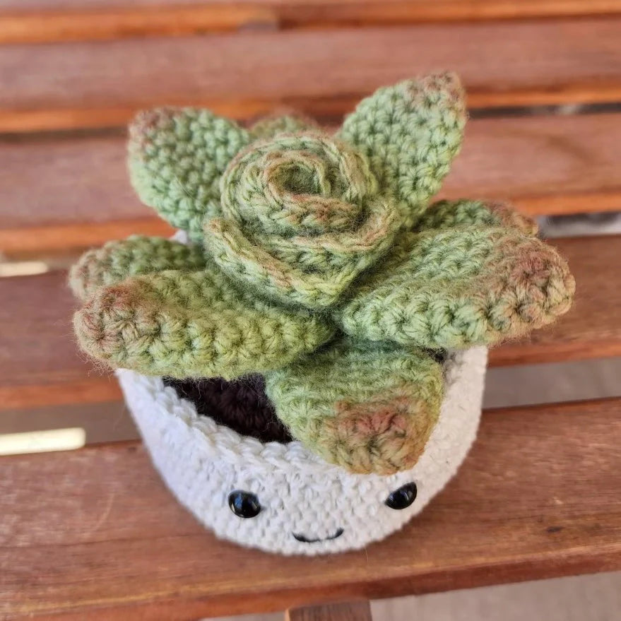 Crochet Plant