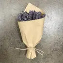 MINI French Lavender Bundle