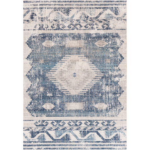 Huntington Beach 5'3" X 7' Rug Blue by Homeportonline