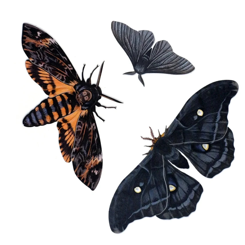 Fine Paper Specimens