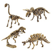 Club Earth Paleo Puzzlers by Homeportonline