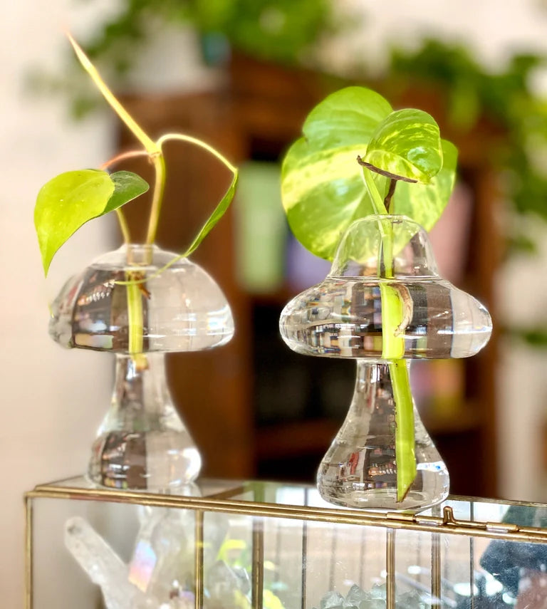 Glass Mushroom Vases