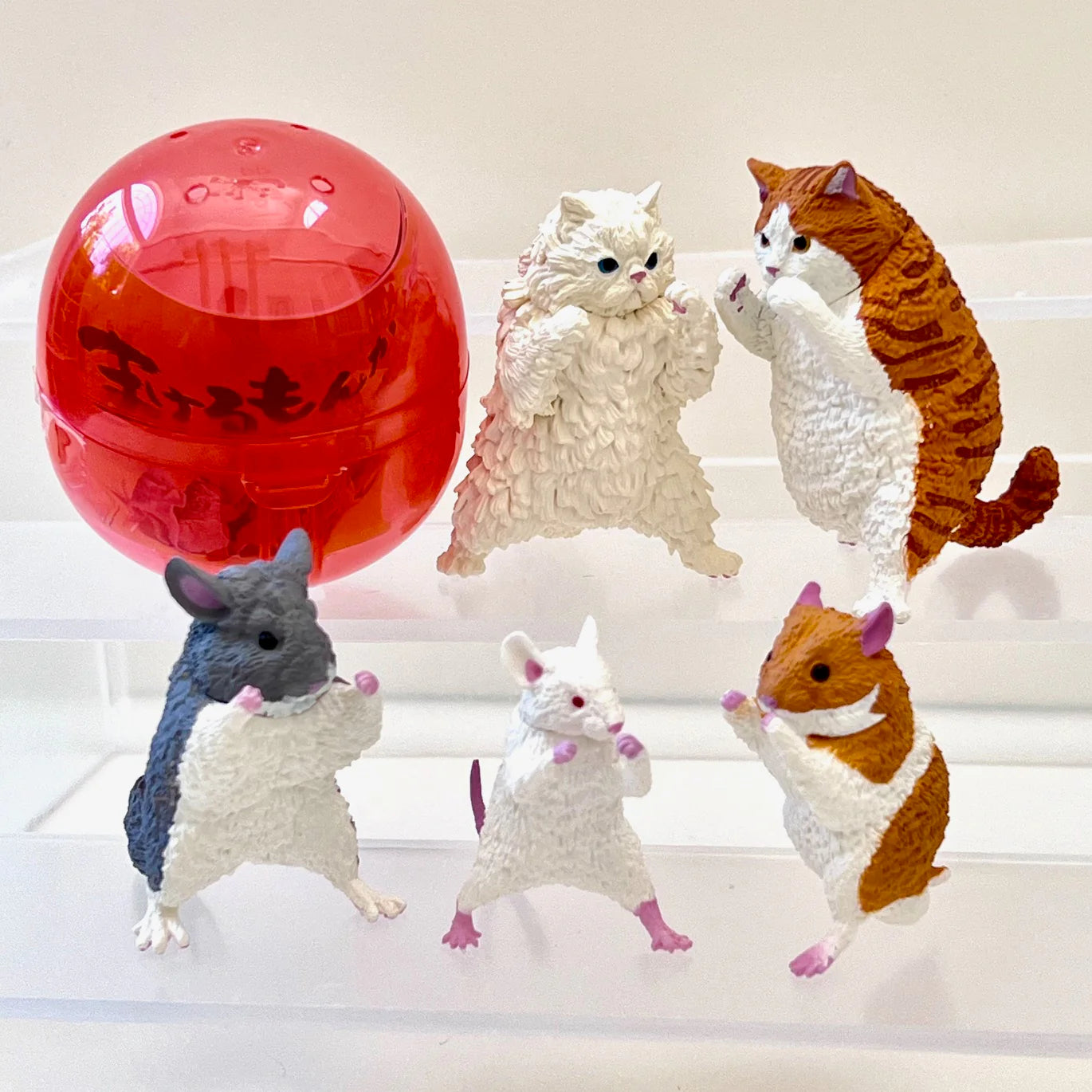 Gashapon Capsule Teen & Up Kung Fu Animals (Sold As An Individual Capsule) by Homeportonline