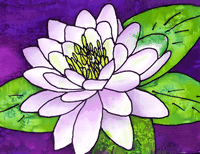 Vermont Artist - Nancy Jacobus (Sold Individually) by Homeportonline