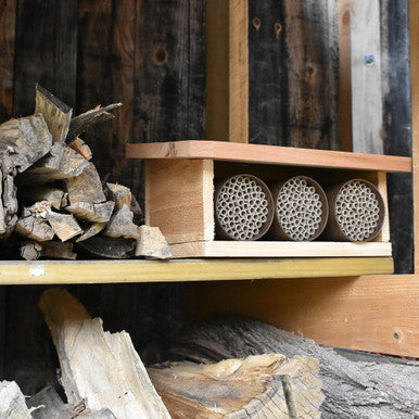 Cedar Bee Hotel -  Kit