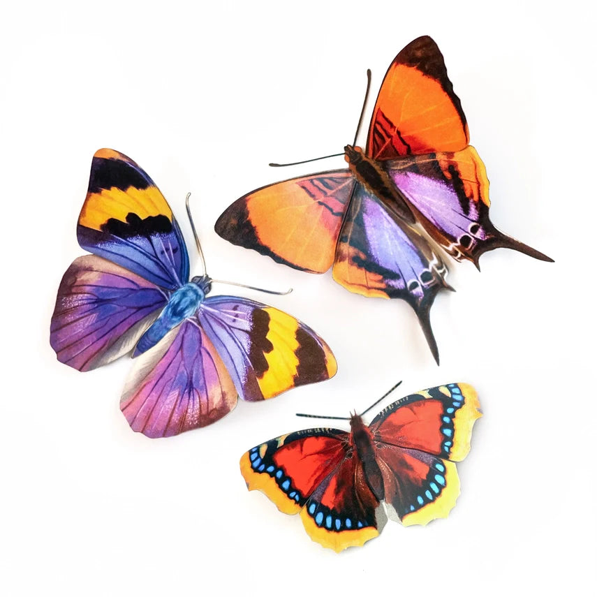 Fine Paper Specimens